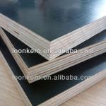 black film faced plywood film faced shuttering plywood