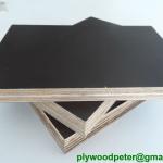 shuttering plywood sheet