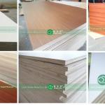 18mm melamine plywood factory in LINYI