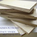 A CE FSC Birch Plywood for furniture use