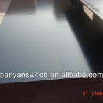 shouguang Film faced plywood/Shuttering plywood/Construction plywood/FFP