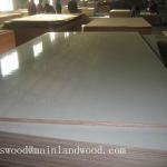 18mm white HPL plywood/High Pressure Laminate