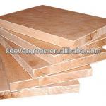 1220x2440mm block boards plywood for sale