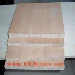 high quality 4*8ft blockboard poplar core and falcata core