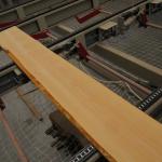 Beech boards timber PEFC