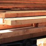 Western Red Cedar