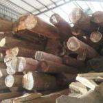 sawn timber