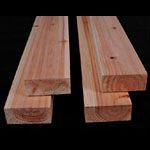 Chinese Red Cedar