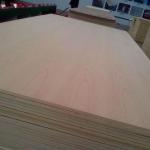 Ukranian beech wood