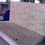 all type and size high quality osb board from linyi xingshun