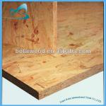 Waterproof OSB for Furniture and Construction-BTOZ13072502