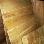 Paulownia veneer face/back plywood for furniture