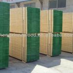 lvl scaffold board( Pine &amp; Eucalyptus )