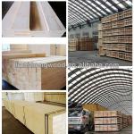 poplar LVL used in packaging,furniture,construction