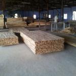 ACACIA Wood - Finger Joined Boards/Hoangphucwood