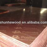 Marine plywood-