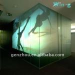 smart glass film (with adhesive or non-adhesive )