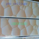 PVC ceilings