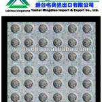 LZ tactile paving blind stone