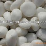 Natural Landscaping Pebble/Cobble Stone for Garden Decoration and Design (3-120mm)