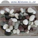 Multi-colored Pebble Stone For Decoration