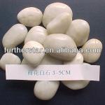 Chinese natural white pebbles-GS-1513