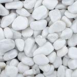 Pure White Pebbles