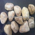 Brown pebble stone for sale