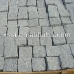 stone pavers-SS010