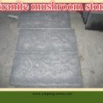granite mushroom stone