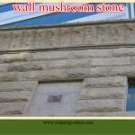wall mushroom stone