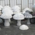 white mushroom stone