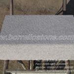 Professional Supply Stone Curbstone Paver