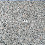 G383 Pearl Flower granite tiles/slabs/steps