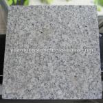 Light gray 60x60 granite tiles