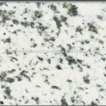 Best Quality Secilia Marble Floor Patterns Square