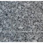 White SL Granite Slabs 60/70x200-300x2cm, Top Polished