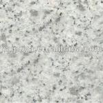 G365 white granite