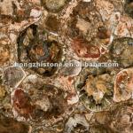Petrified Wood Slab,Semiprecious Stone Slabs