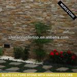 Cultured Stone(Various Culture Stone)
