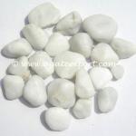 High Polished White Pebble Stones : Wholesale Pebble Stones