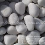 White Pebbles Stone &amp; White Cobble Stone