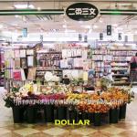 Japanese dollar shop Daiso like with daily household goods