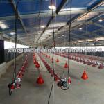 Light Prefabicated steel structure poultry farm design chicken poultry shed layer chicken shed-WYP-XGZ-001