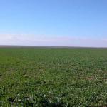 Thousand Hectares Of Farm Land In Romania