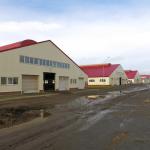 15773 ha top dairy farm for 4000 cows in Russia