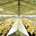 Steel Chicken Poultry Shed Design