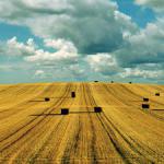 lands/farms for agricultural production