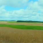 500 ha modern, very nice and promising farm in Lithuania for SALE