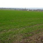 I propose agricultural enterprise on the territory of the Volgograd region in the Russian